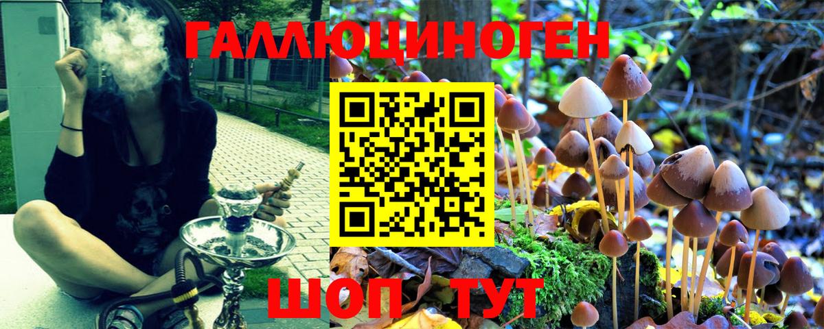 Псилоцибиновые грибы ЛСД Урус-Мартан