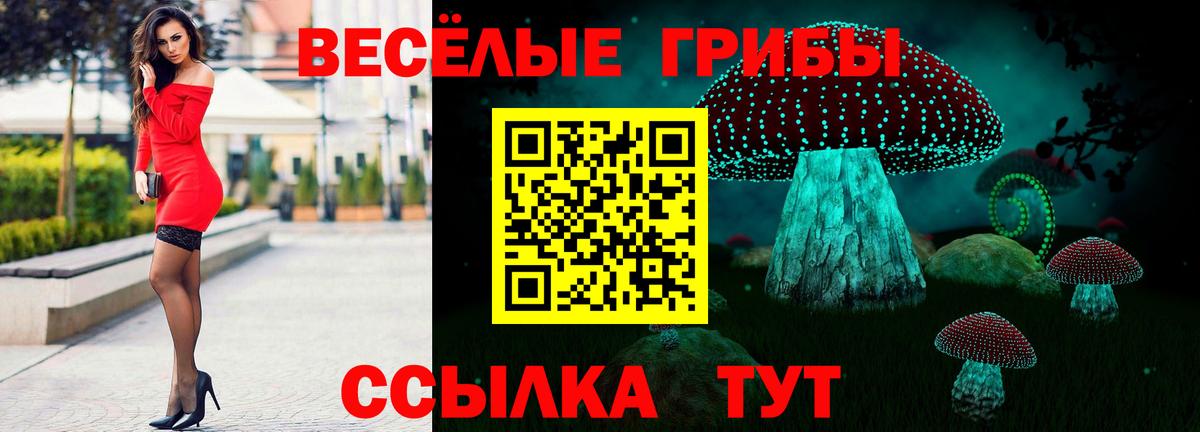 Урус-Мартан  Галлюциногенные грибы ЛСД  Вход с VPN 