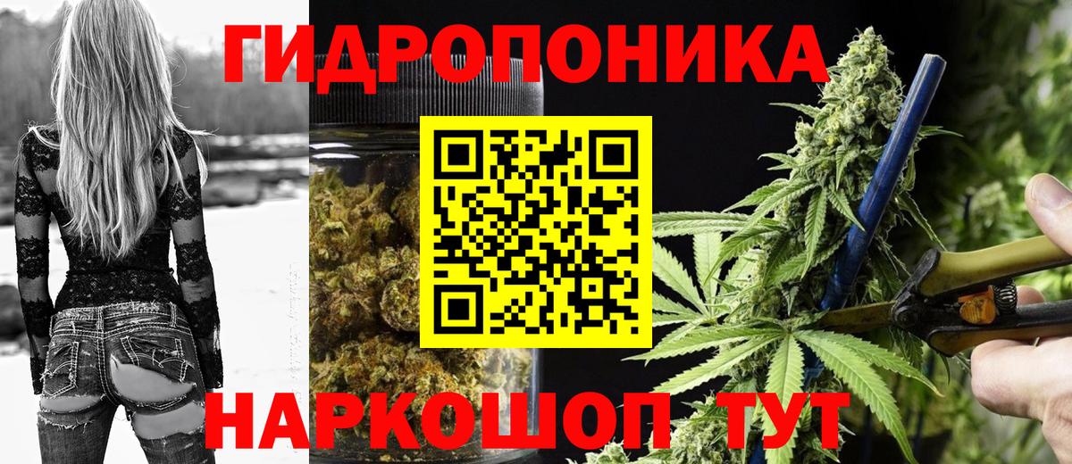 Канабис SATIVA & INDICA Урус-Мартан